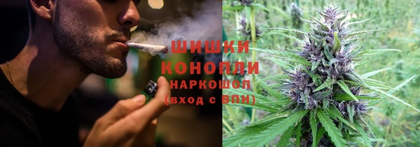 МДПВ Заводоуковск