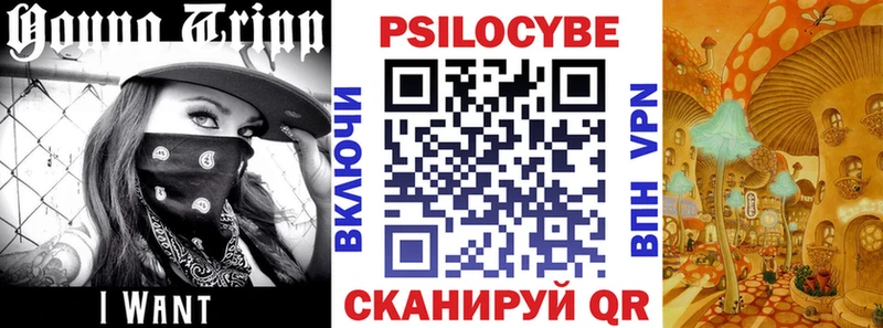 Псилоцибиновые грибы ЛСД  Абакан 