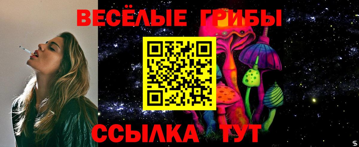 Псилоцибиновые грибы ЛСД Абакан