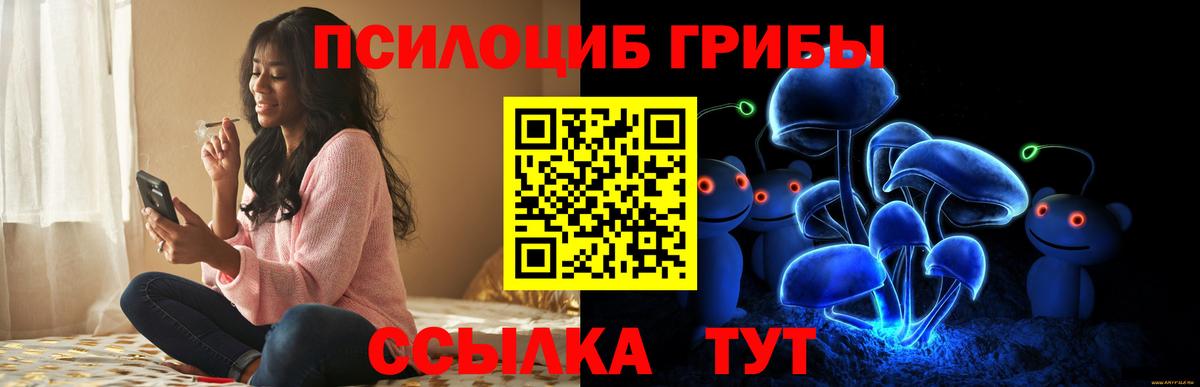 Галлюциногенные грибы мицелий  Вход с VPN  Абакан  Псилоцибиновые грибы GOLDEN TEACHER 
